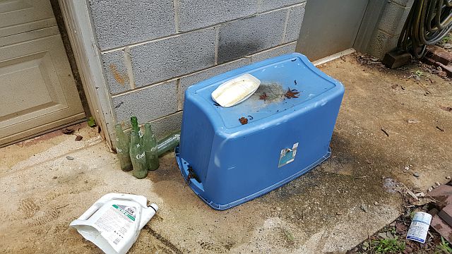 photo of good mosquito breeding habitat
