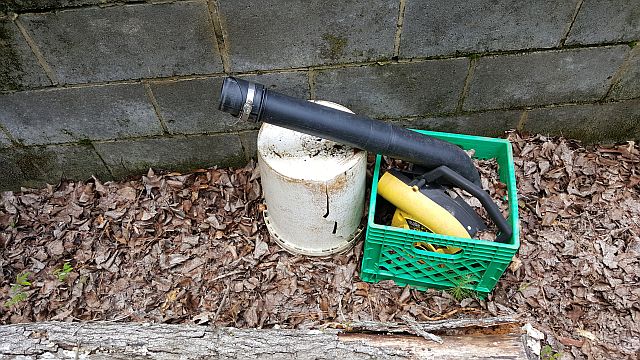 photo of good mosquito breeding habitat
