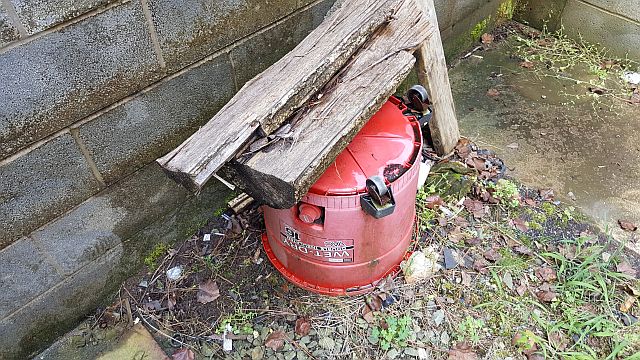 photo of good mosquito breeding habitat
